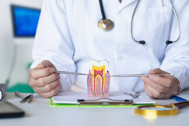 Best Emergency Dental Care for Abscessed Tooth in Percy, IL